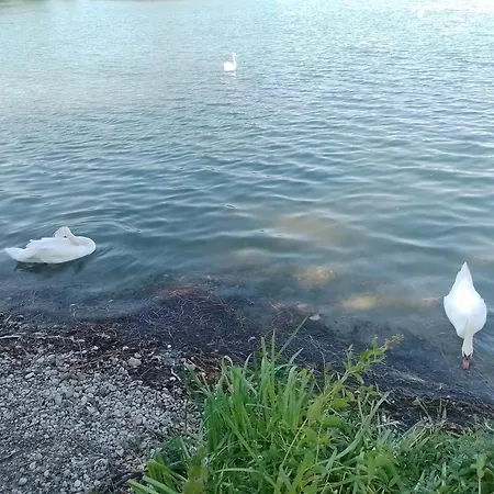 La Grace アパート